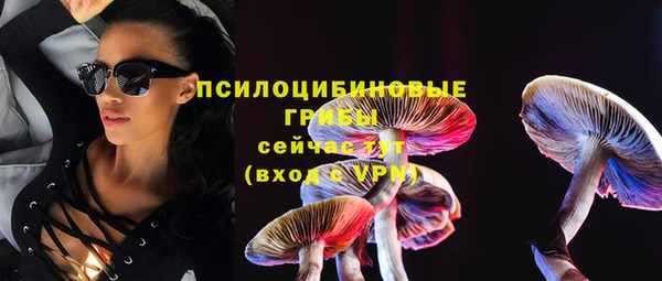 соль ск Алзамай